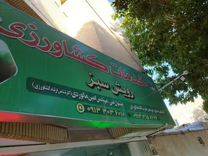 رویش سبز
