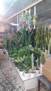 نمایشگاه گل و گیاه پارادایس