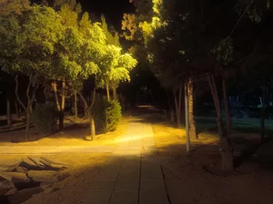 بوستان
