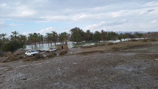بعپال جوزدر
