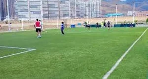 زمین چمن هوابرد