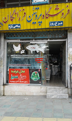 فروشگاه پروتئین فرزانگان