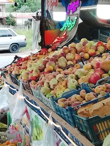 میوه و تره باری میثم