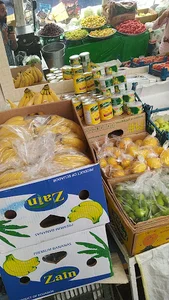 میوه فروشی باغ بهار
