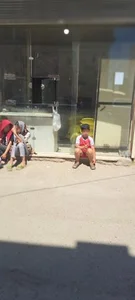 نانوایی‌ بربری