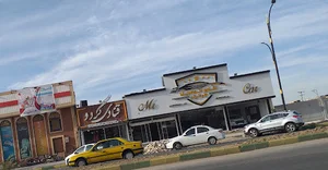 گالری آقای اتومبیل ، جلوداریان