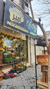 خانه گل امیر 2