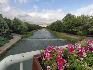 شهر چایی