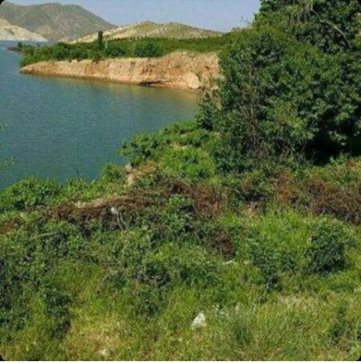 روستای گوشه دواریجان
