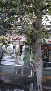 عینک نوین