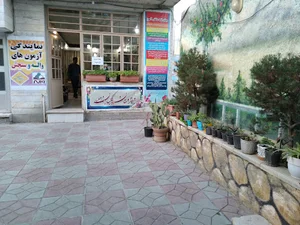 گام طلایی