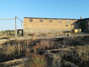 مرغداری پورنجف