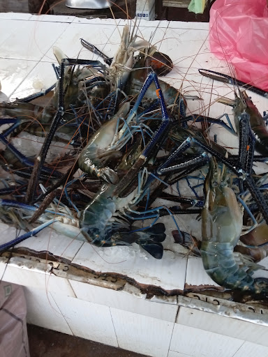 soyuru fish market