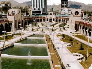 دمنوش نیوشا