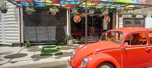 بیرون بر فلفل