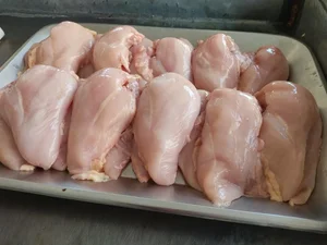 مرغ و ماهی موسوی 3