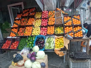 میوه فروشی نادر قاسمی 3