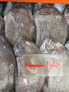 مرغ و ماهی روز 2