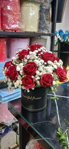 گل فلوریا 3