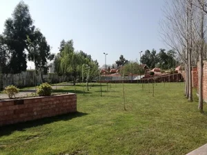 پارک بانوان 5