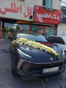 گل کریستالی ریحان 3