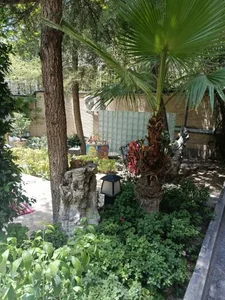 کافه دیدار 5