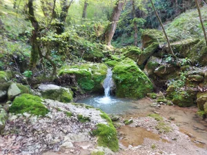 روستای سرکت
