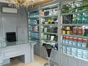 مگا سیستم خداپرست