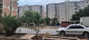 سایت قشم شمالی