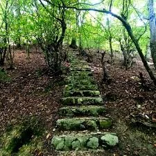 پارک جنگلی آزادمهر سوادکوه فضای پارک در این فصل از سال بسیار رویایی است؛ با  سنگ فرش بودن این #پارک زیبایی خاصی بوجود آمده . آلاچیق هایی که به سبک  کاهگلی تزیین