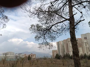 خرگوش دره