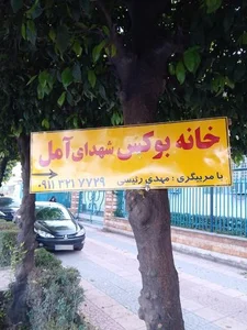 باشگاه بوکس آمل 5