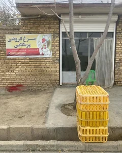مرغ فروشی پر طلایی
