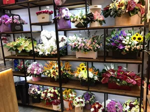 گل ارکیده 4