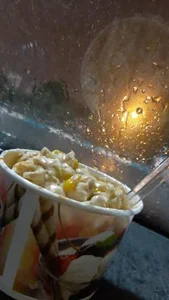 مرکز ذرت یزد 2
