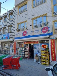 مواد غذایی ربیعی