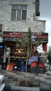 تک اسپرت نجفی 2