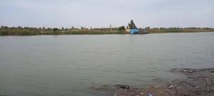 بوستان جنگلی 2
