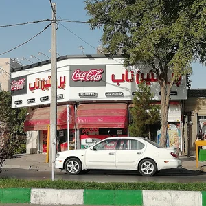 پروتئین ناب