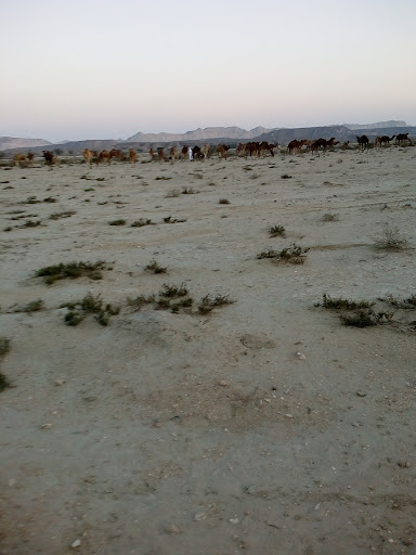 لوازم التحریر سرودی