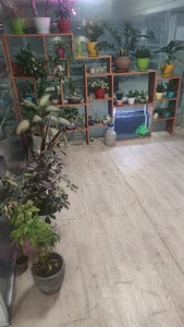 شرکت بقا بسپار