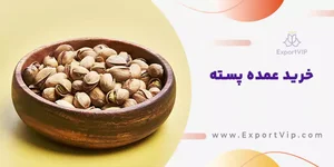 خرید و فروش عمده پسته نگین