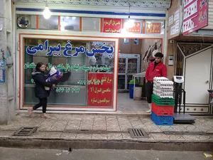 پخش مرغ بیرامی