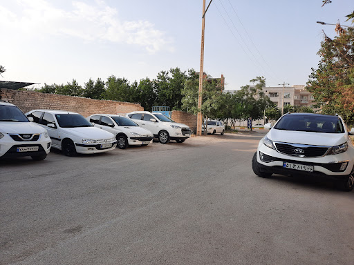 کارواش تات
