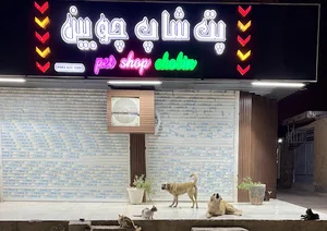 پت شاپ چوبین