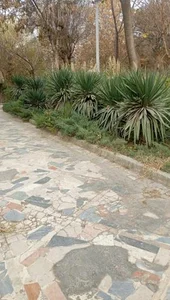 بوستان ایثار 4
