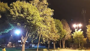 پارک قائم
