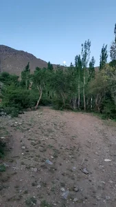 باغچه مریم