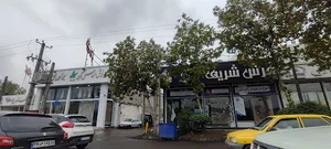 فرش شریف شعبه (۲)