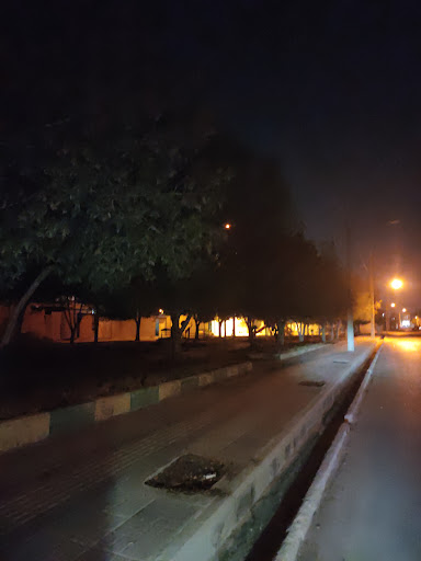 تل جوری